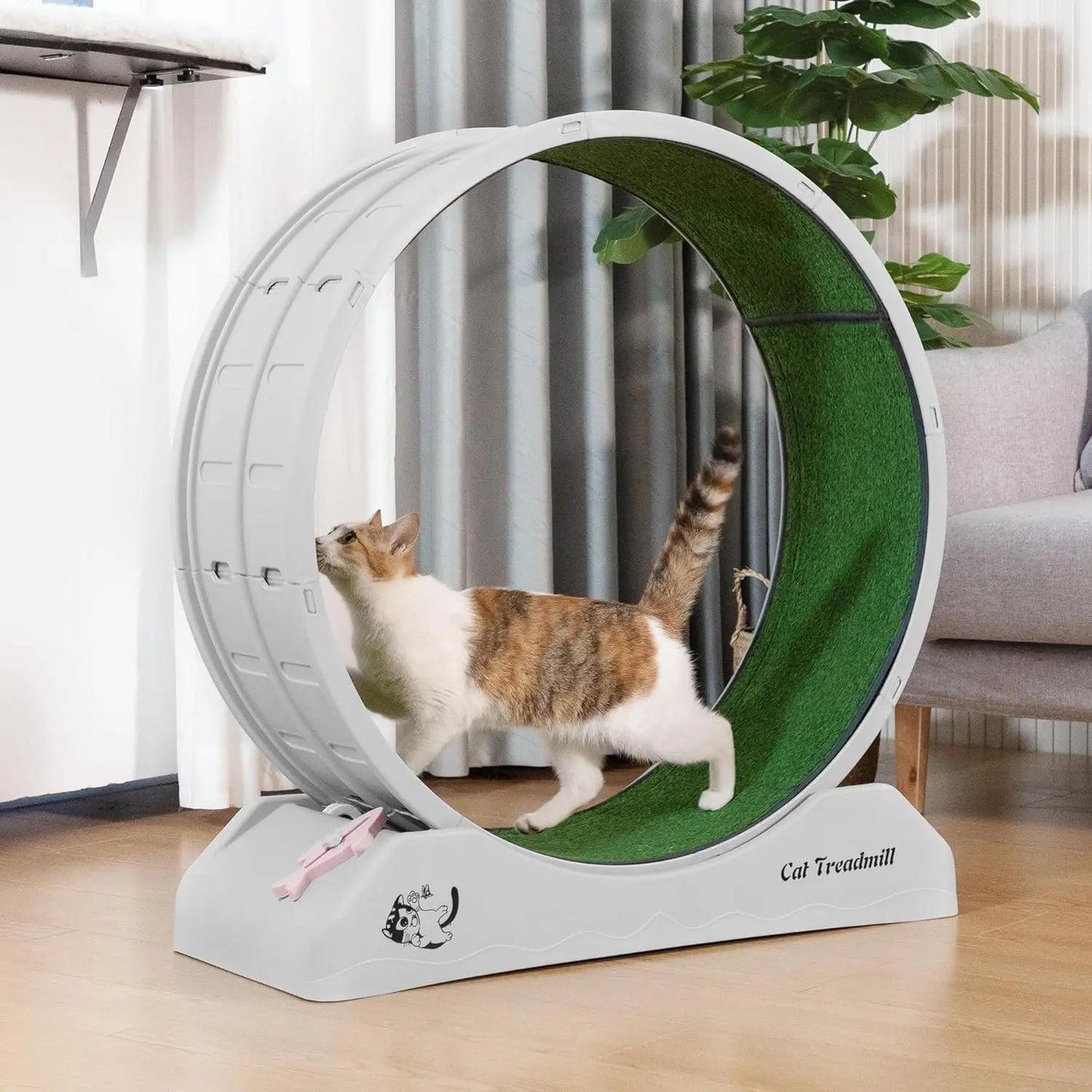 Large Cat Treadmill