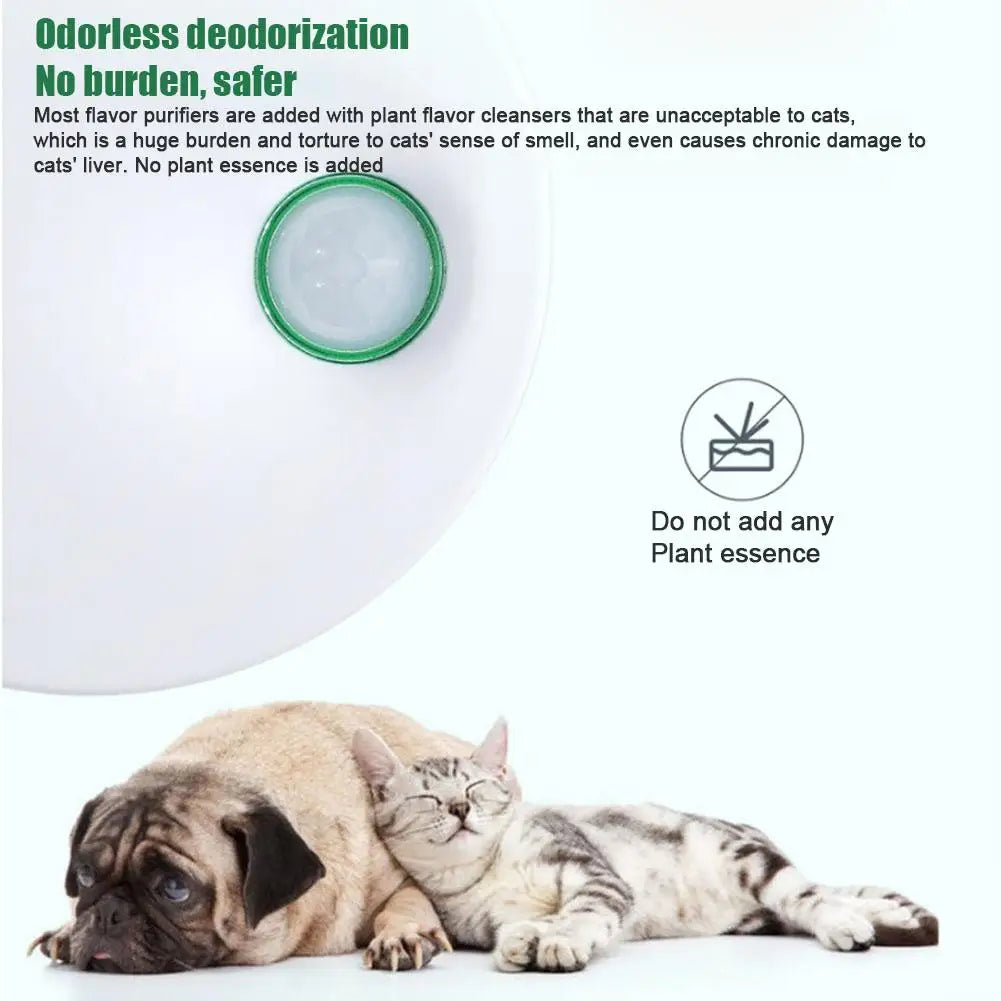 Odor Purifier