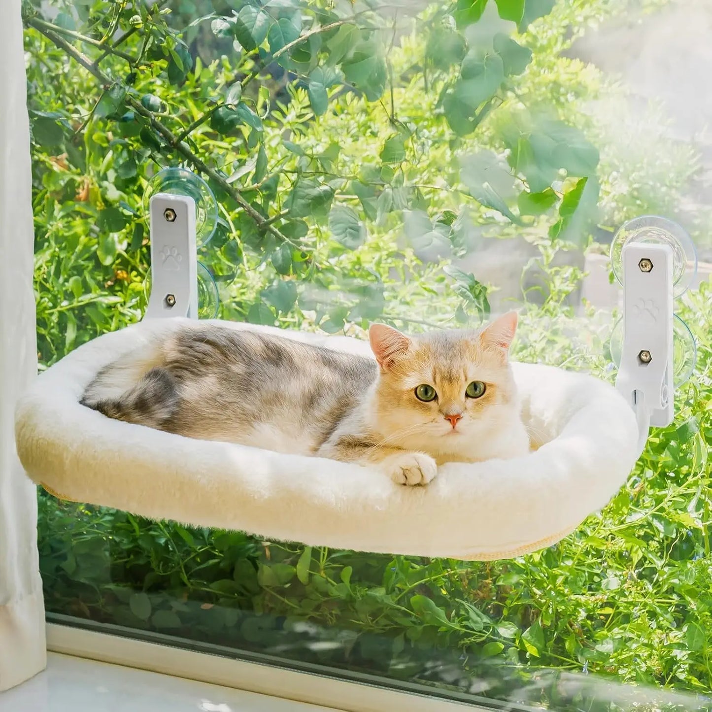 Foldable Cat Window